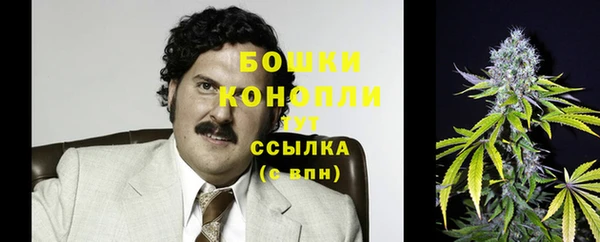 стафф Вязьма