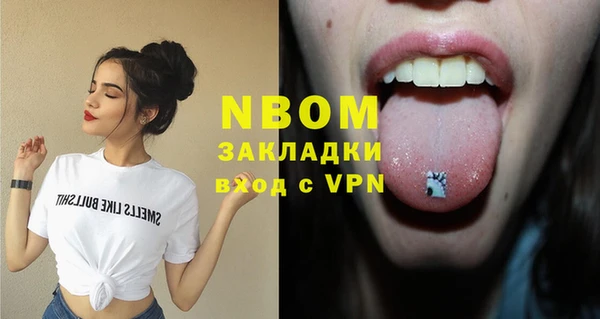 стафф Вязьма