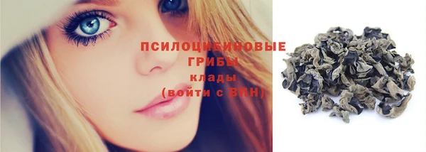 стафф Вязьма
