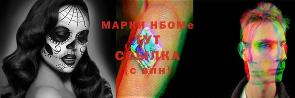стафф Вязьма