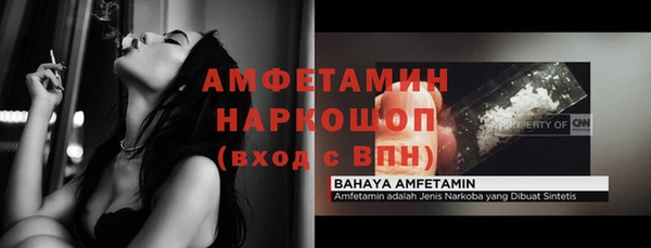 стафф Вязьма