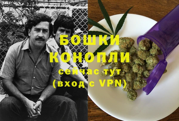 стафф Вязьма