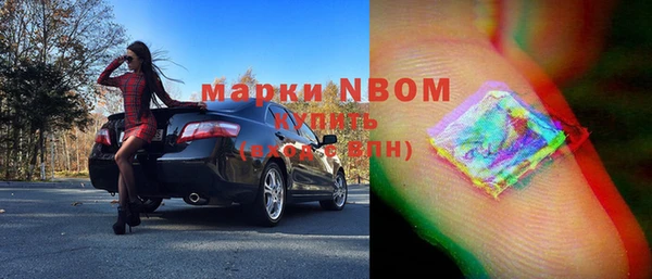 стафф Вязьма