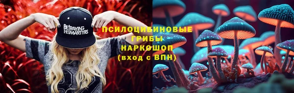 стафф Вязьма