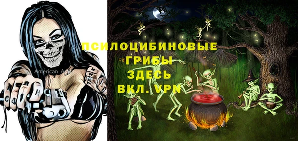 крисы Вязники