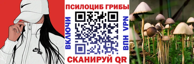 МЕГА ONION  Муром  Галлюциногенные грибы GOLDEN TEACHER  как найти закладки 